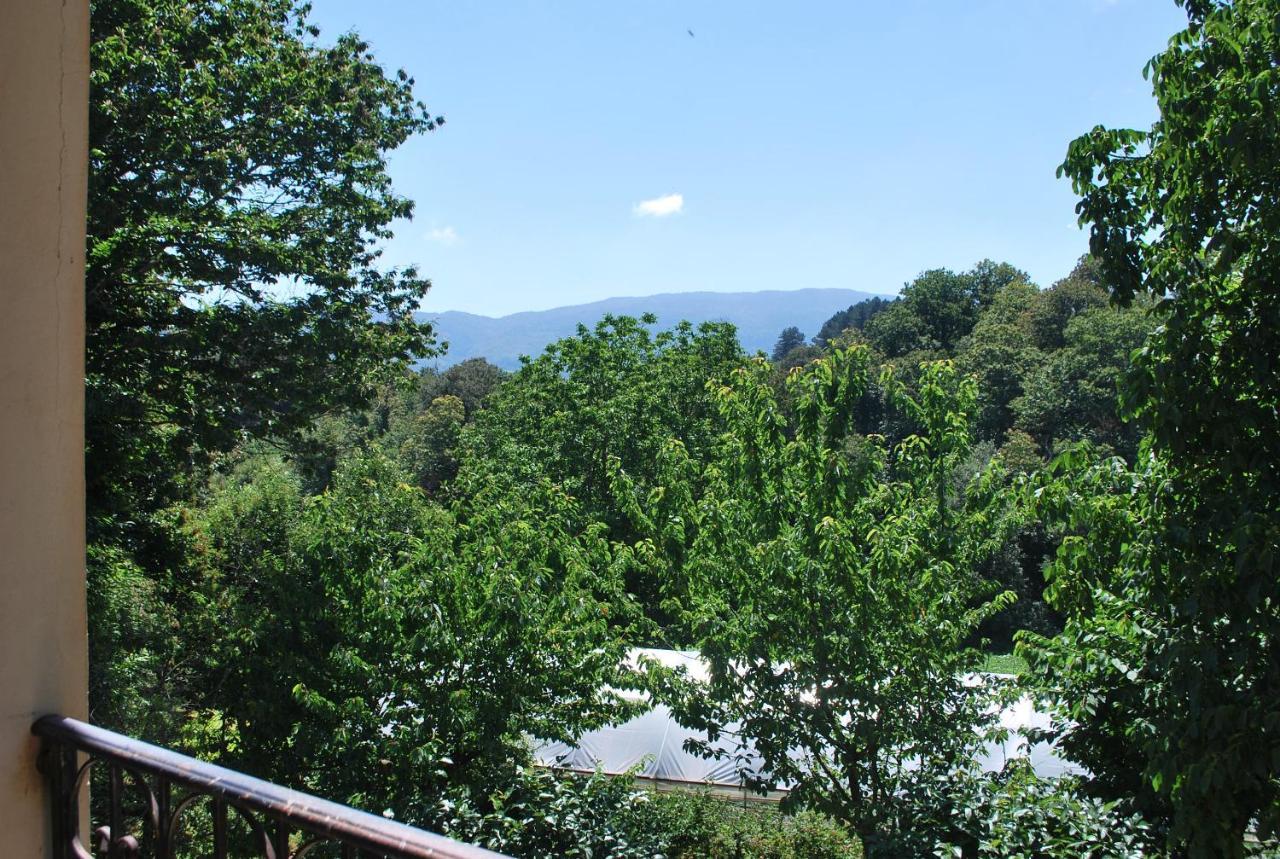 Agriturismo Roseto Villa Serra San Bruno Eksteriør billede